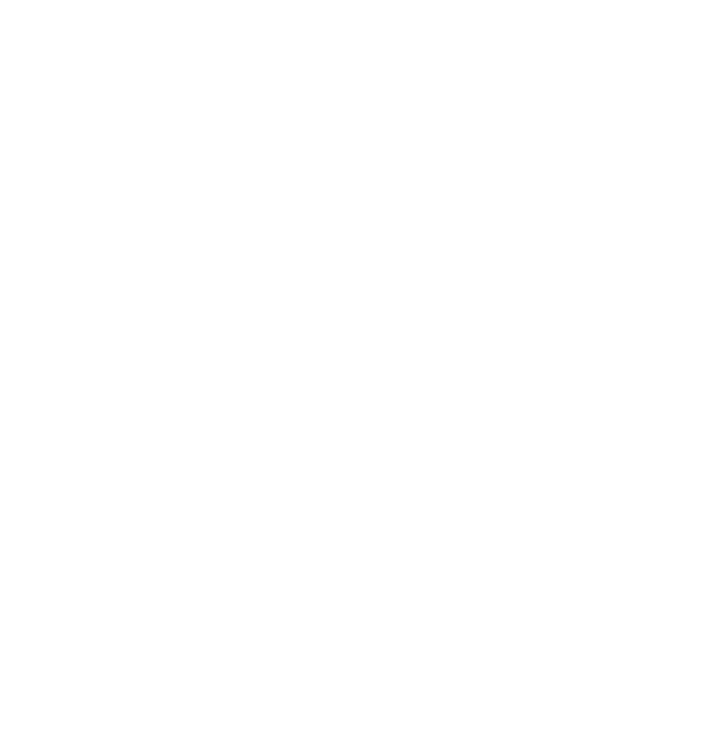 The browser after a reload attempt with no connection