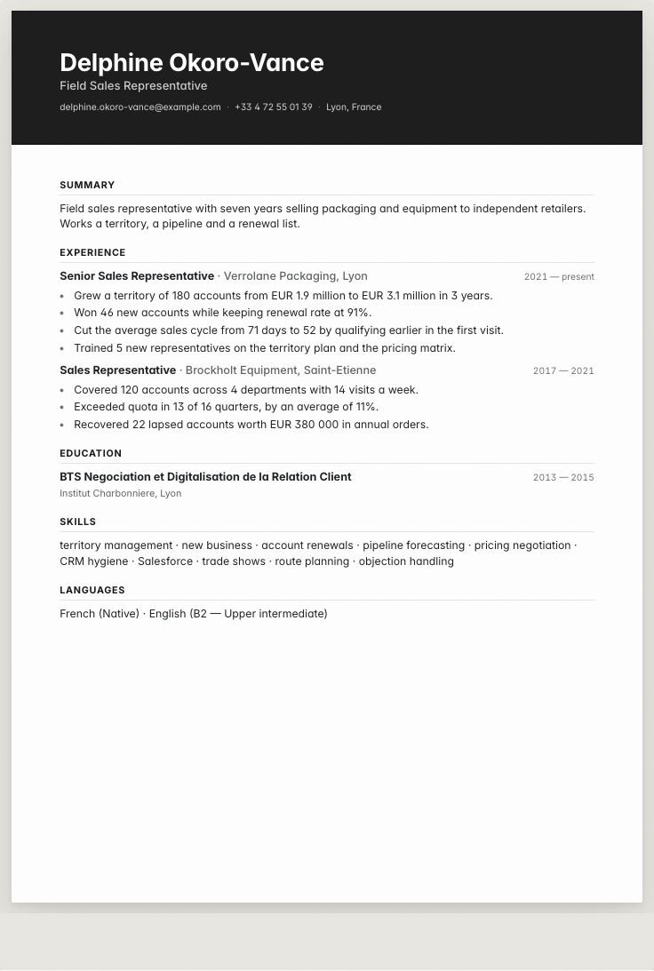 The sales representative example résumé drawn as a complete page in the Onyx design: name, summary, the roles with their bullet lines, education and a skills row